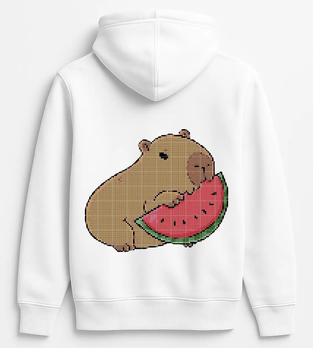Watermelon Capy Hoodie Lorinfo